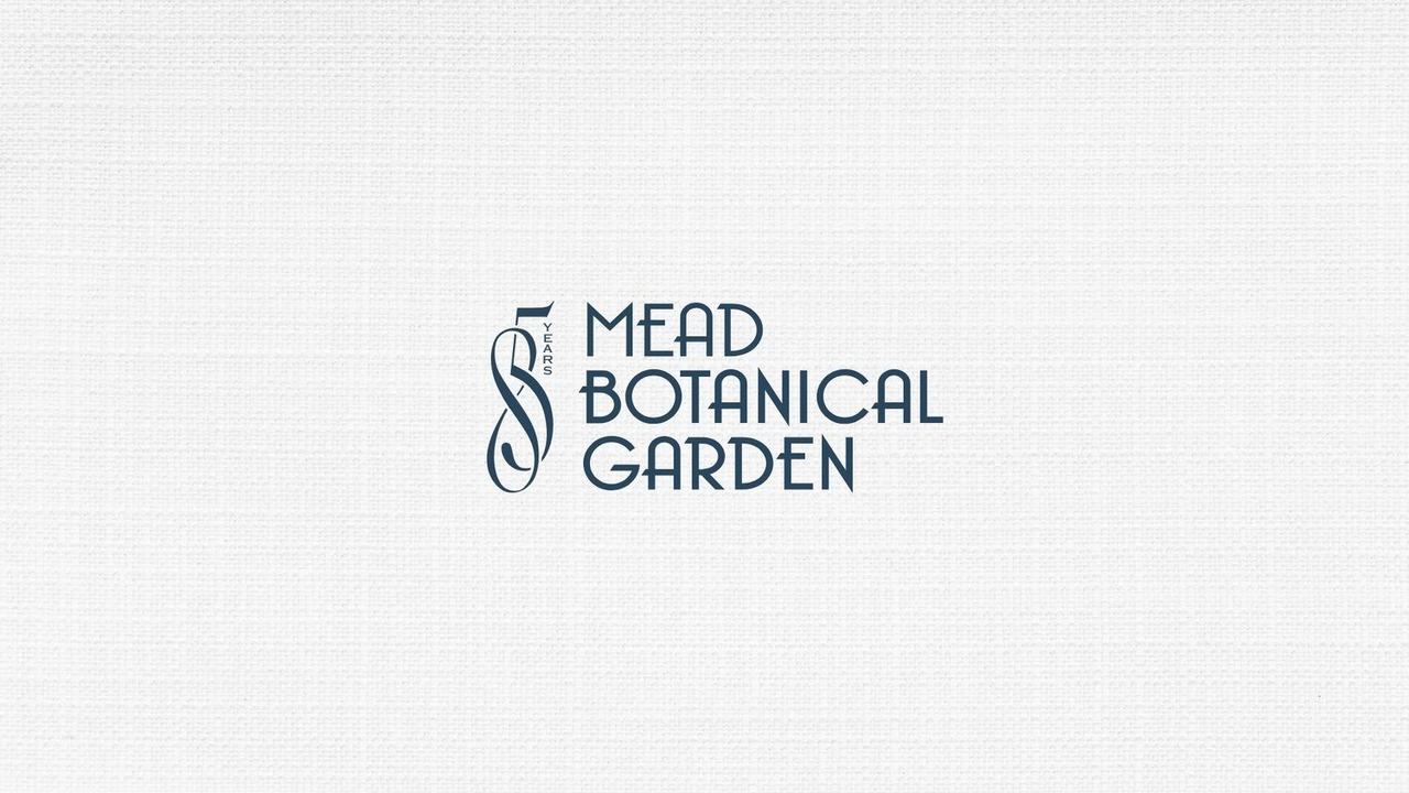 Mead85