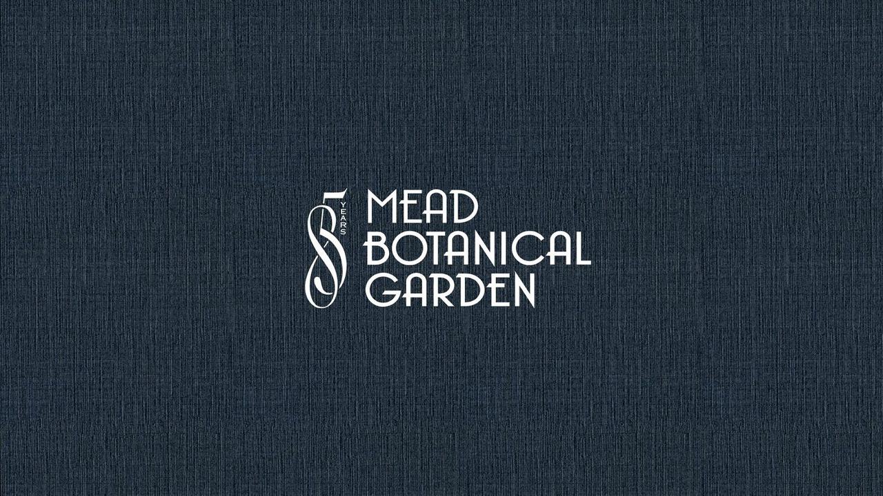 Mead85